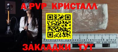 твердый Славгород